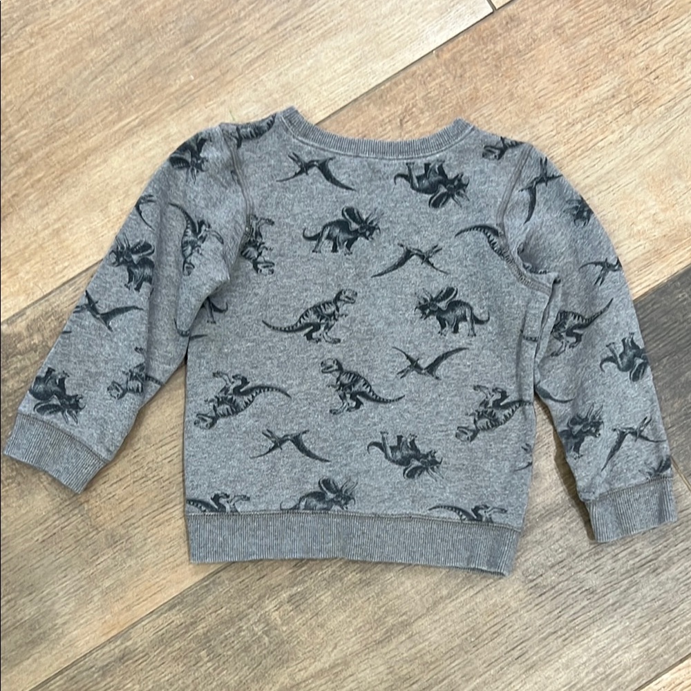 Carter's Gray and Black Dinosaur Print Hoodie - Picture 3 of 4